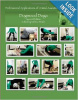 Professional Applications of Animal Assisted Interventions: Dogwood Doga (Second Edition)